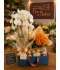 OrquÍdea em caixa especial 