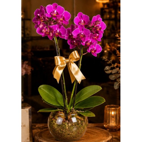 Mini Orquídea em cachepô de vidro