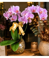 Mini Orquídea em cachepô de vidro