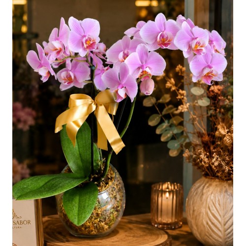 Mini Orquídea em cachepô de vidro